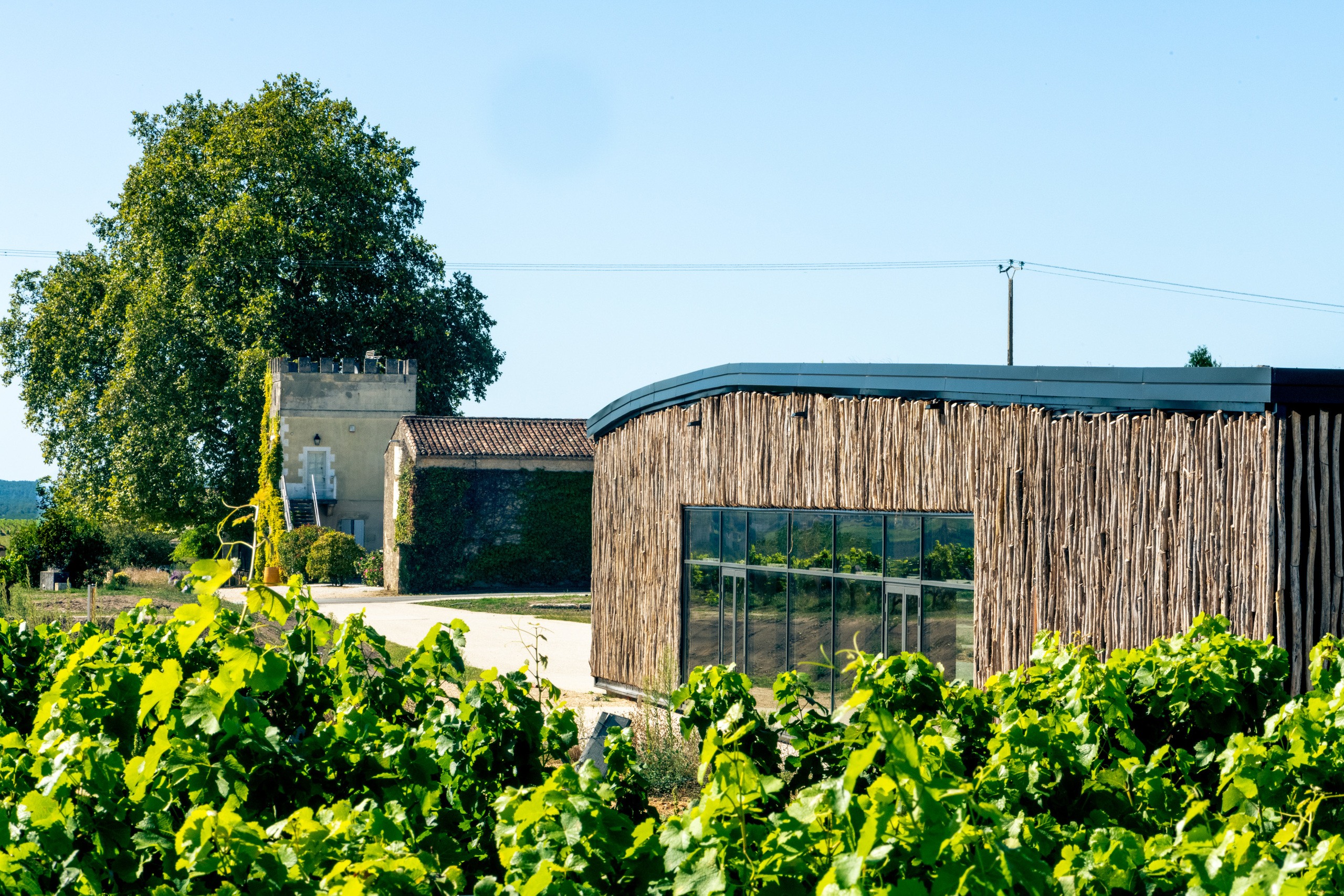 Cellar - Chateau d'Arche