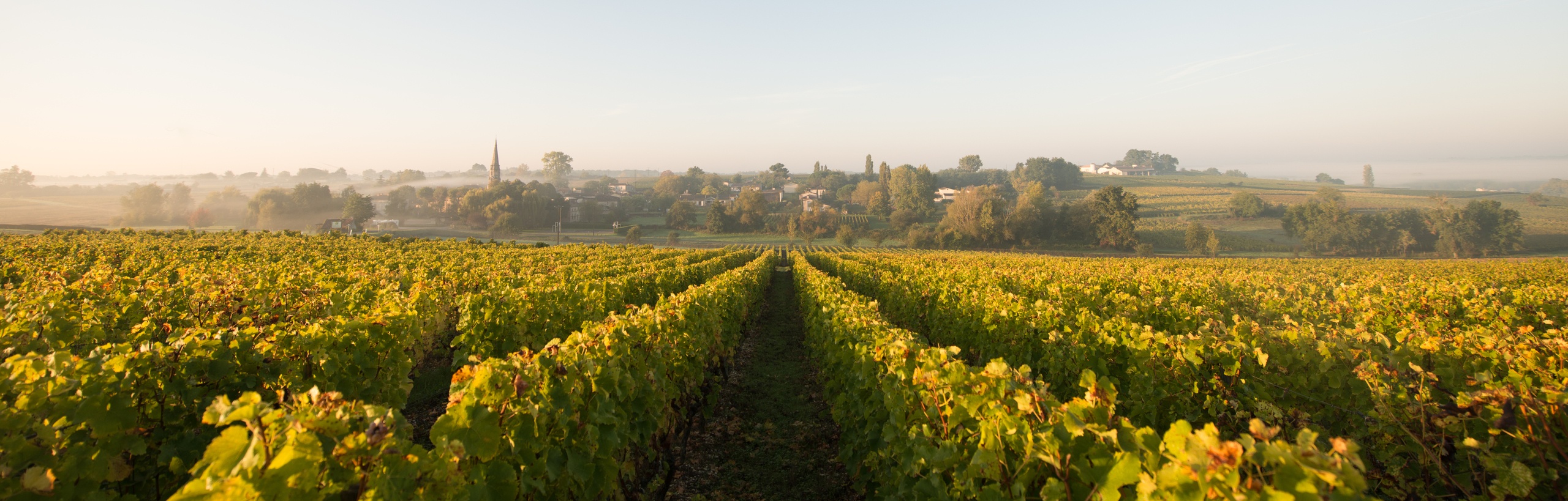 Un terroir d’exception - Chateau d'Arche