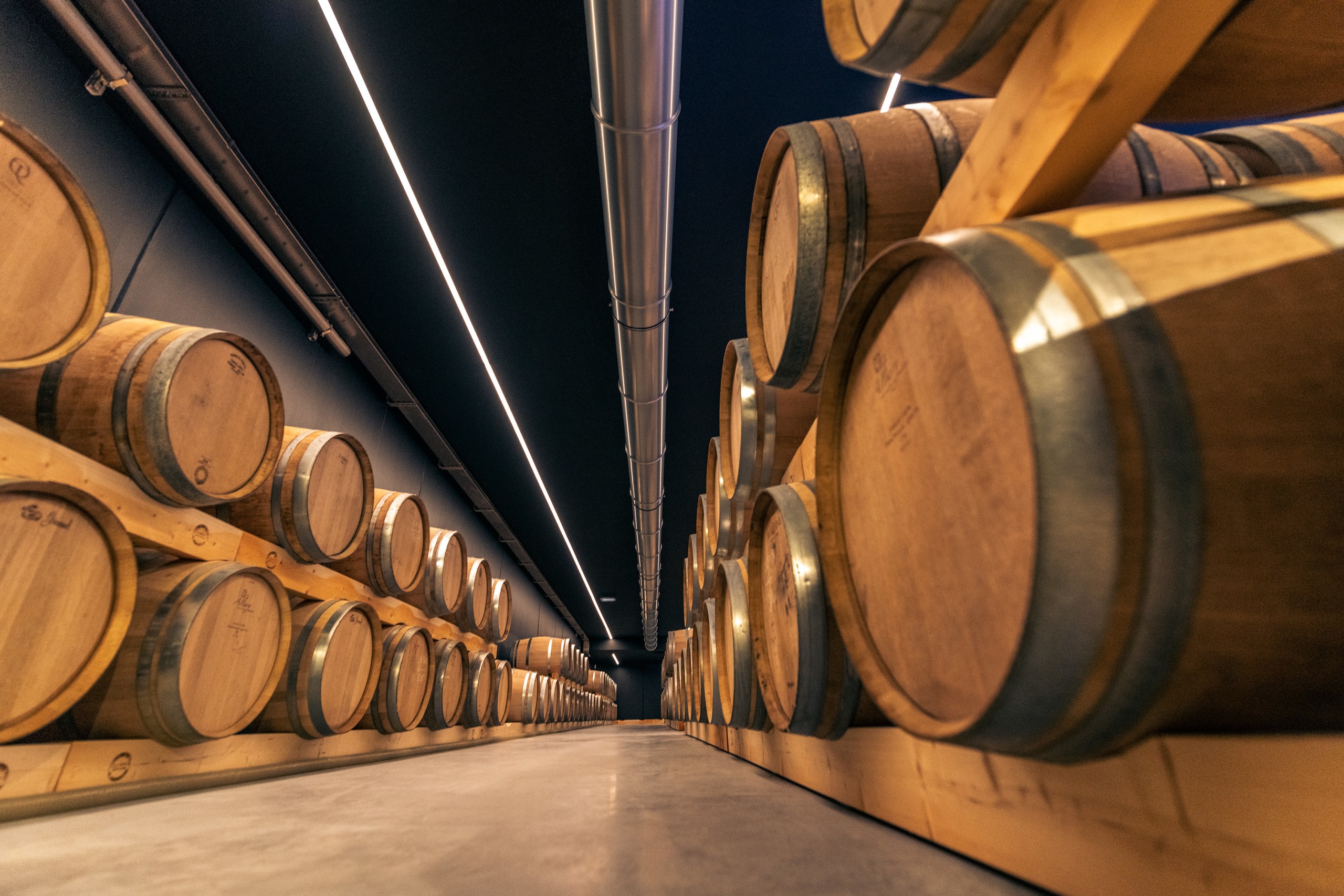 Cellar - Chateau d'Arche
