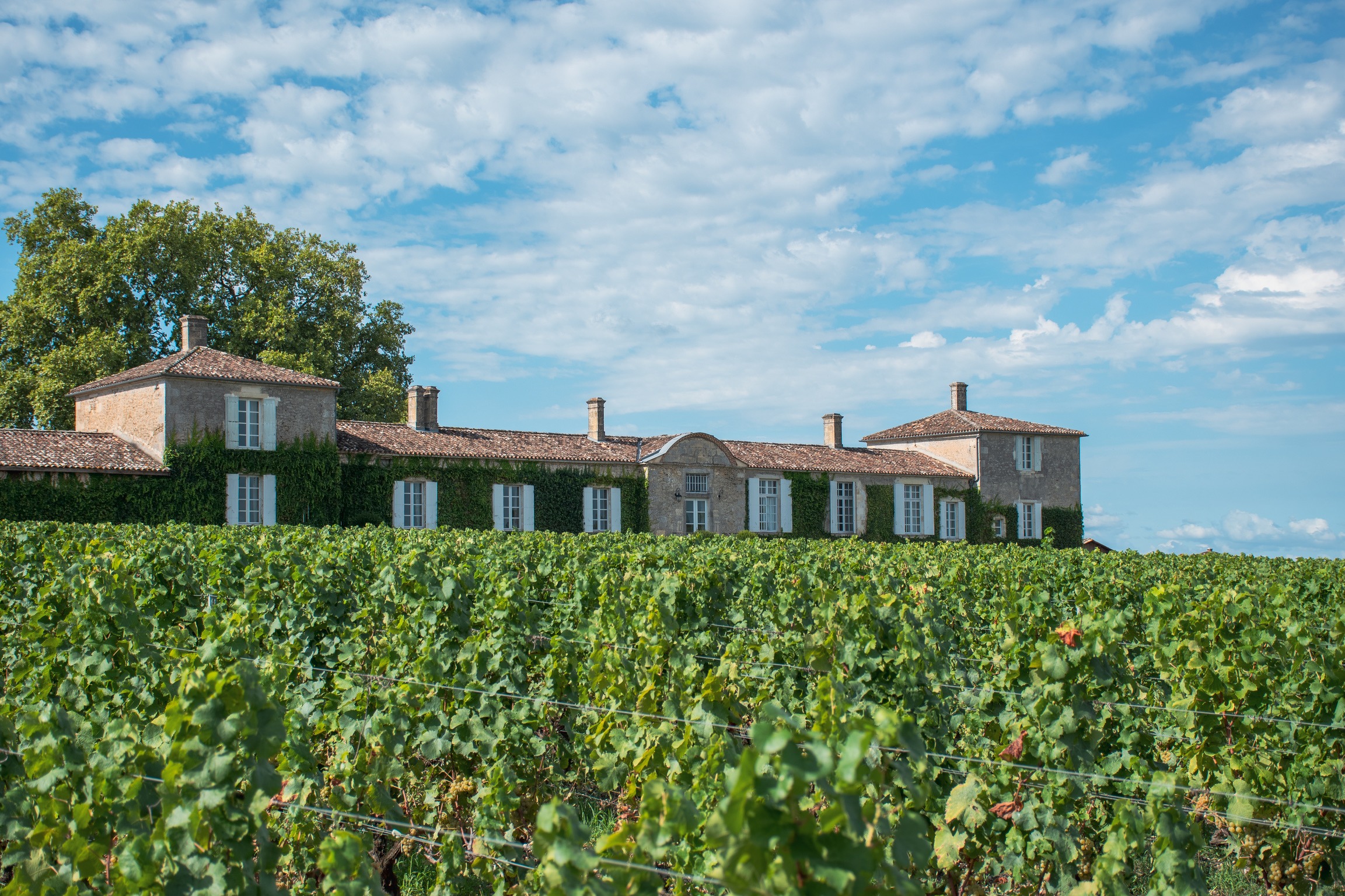 L’hôtel - Chateau d'Arche