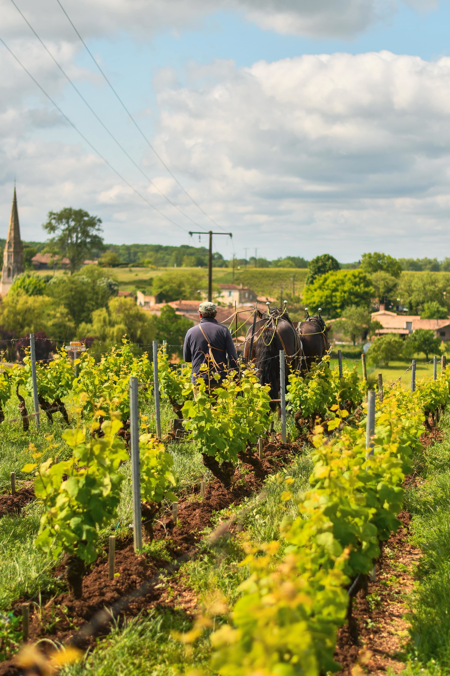 Engagé pour l’environnement - Chateau d'Arche