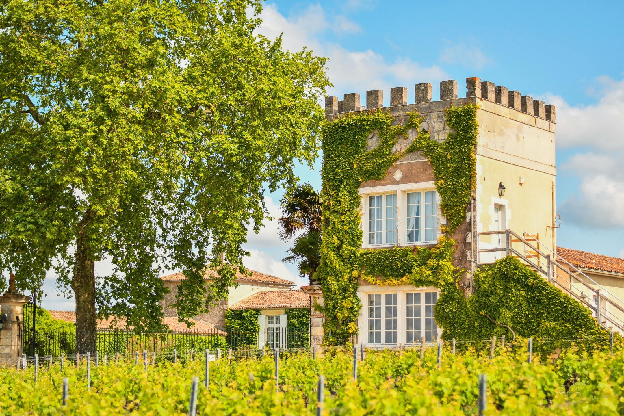 Un terroir d’exception depuis 1611 - Chateau d'Arche