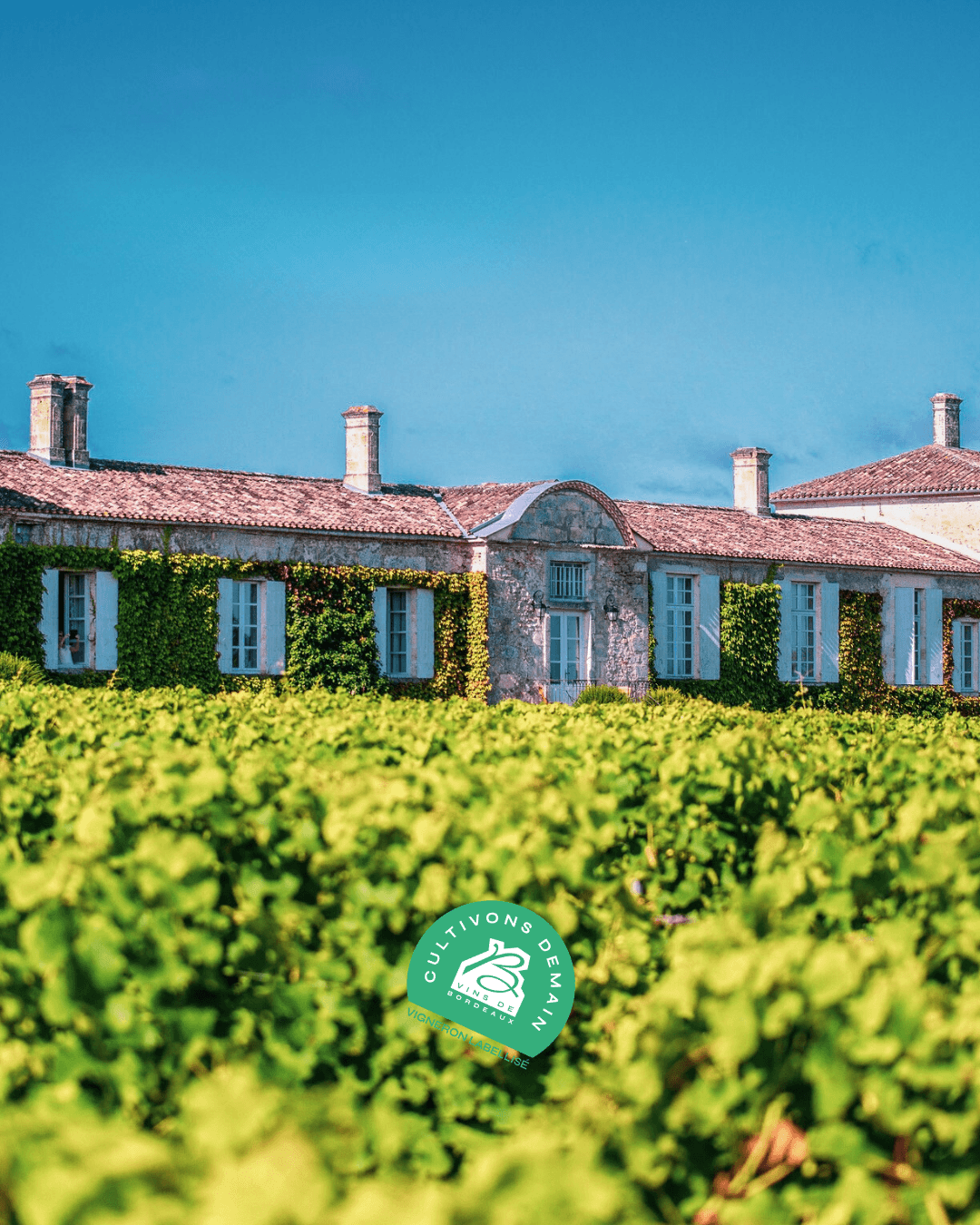 RSE Château d'Arche