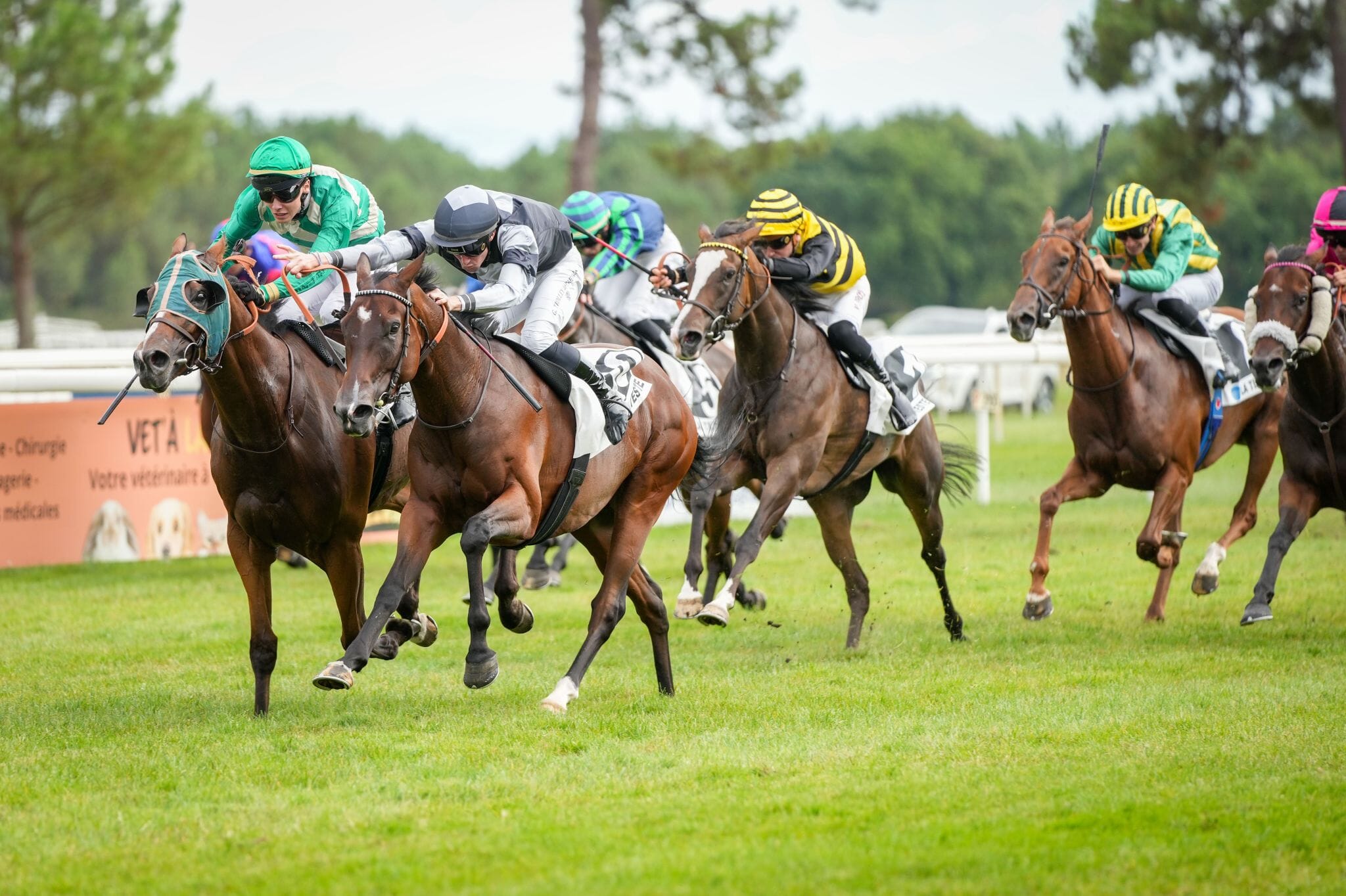 Dégustation : Hippodrome de La Teste – Mercredi 5 Août - Chateau d'Arche